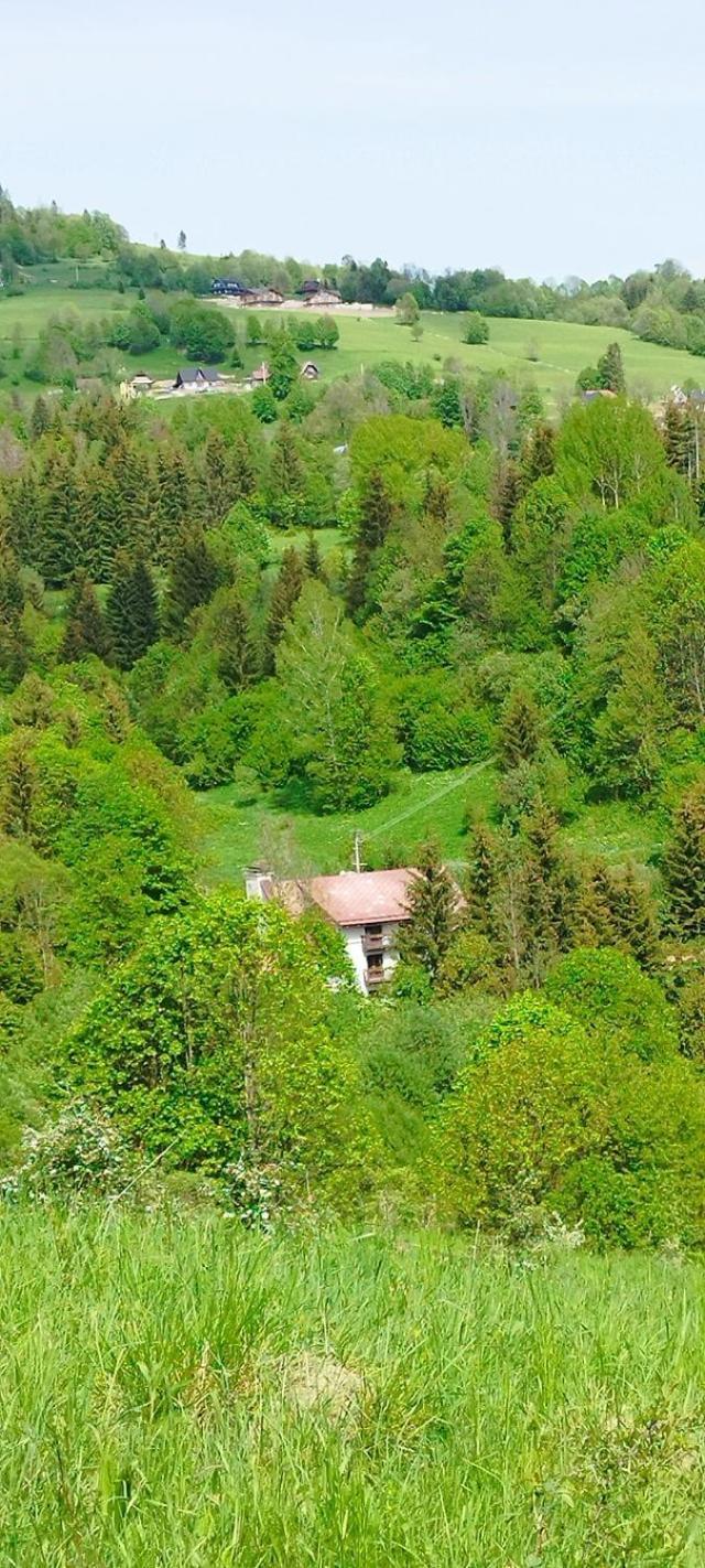 Penzion Zazrifka Зазріва Екстер'єр фото