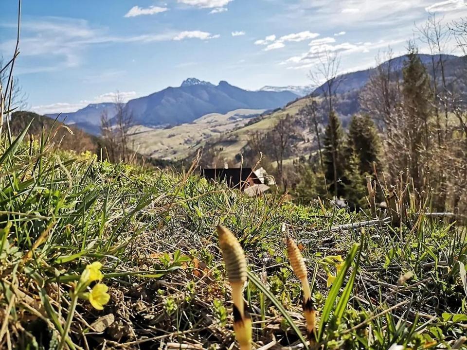 Penzion Zazrifka Зазріва Екстер'єр фото