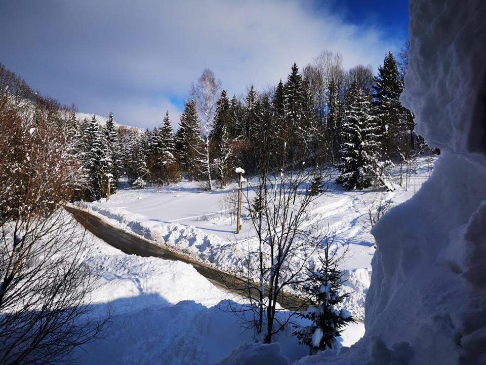 Penzion Zazrifka Зазріва Екстер'єр фото