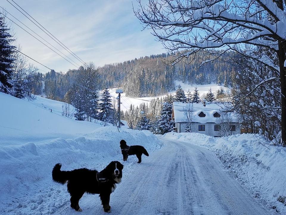 Penzion Zazrifka Зазріва Екстер'єр фото