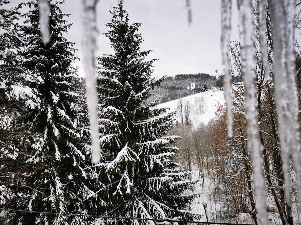 Penzion Zazrifka Зазріва Екстер'єр фото